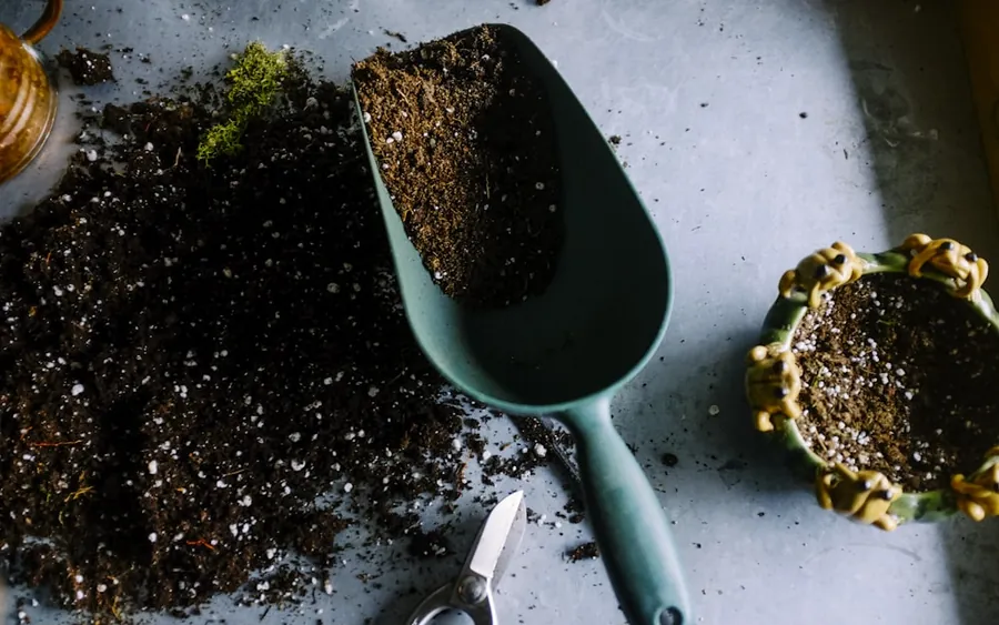 Hands potting seedlings with fresh soil and a scoop at a plant shop
